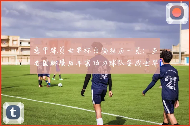 意甲球员世界杯出场经历一览：多名国脚履历丰富助力球队备战世界杯